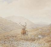 BROWNE Vincent R. Balfour,Stag looking back in a misty Highland landscape,1952,Christie's 2012-01-22