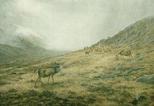 BROWNE Vincent R. Balfour 1880-1963,Stags in a highland landscape,Rosebery's GB 2008-05-07