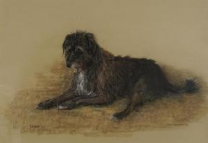 BROWNING Mary 1900-1900,Portrait of a dog called Jessie,1972,Eastbourne GB 2023-01-11