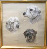 BROWNING Molly,Studies of dogs,Cheffins GB 2016-06-30