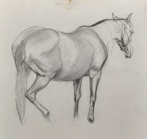 BROWNLOW Charles,Study of a Horse,20th Century,John Nicholson GB 2019-06-26