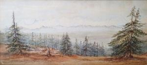 BRUCE E,Highland scene with spruce trees,The Cotswold Auction Company GB 2022-09-13