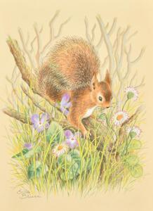 Bruce Ella,Squirrel in flowers,John Nicholson GB 2022-09-07