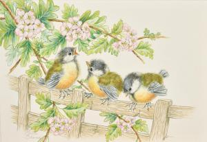 Bruce Ella,Three baby Tits with pink blossom,John Nicholson GB 2022-09-07