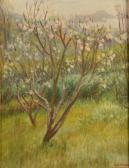 BRUFORD MIDGE 1902-1958,Apple Blossom, Mousehole,David Lay GB 2018-01-25