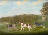 BRYAN I 1800-1800,Three hounds in a wooded landscape,Bonhams GB 2009-04-28
