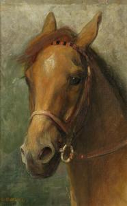 BUCHEL Charles A 1872-1950,Portrait of horse,Bonhams GB 2023-02-07