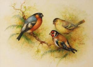 BUDD RICHARD,Bullfinches and a chaffinch on a branch,Fieldings Auctioneers Limited GB 2018-02-03