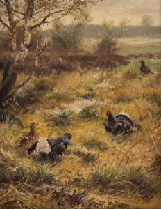 BUDDENBERG Wilhelm 1890-1967,Western capercaillie,Hargesheimer Kunstauktionen DE 2021-03-13