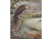 BUFTON REGINALD PERCY 1950,RED KITE IN A VALLEY IN WALES,Lawrences GB 2018-01-19