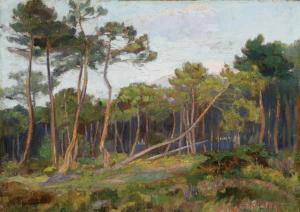 BUGNICOURT François Max 1868,Etude de pins au soleil couchant,Brissoneau FR 2014-10-15