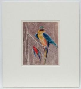 BULEN Gail 1900,2 Macaw parrots,Dickins GB 2017-02-03