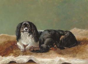 BULLEY Ashburnham H 1810,Cavalier King Charles spaniels on a rug,1861,Christie's GB 2002-06-13