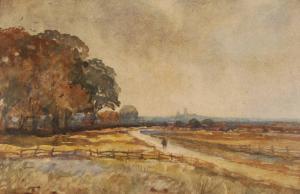 BULLOCK S 1900-1900,extensive landscape view towards Lincoln Cathedral,Burstow and Hewett 2007-07-25