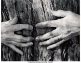 BULLOCK Wynn 1902-1975,Woman's Hands,1956,Heritage US 2021-03-10
