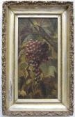 BUNDY Elizabeth E 1800-1800,Grapes on The Vine,Rachel Davis US 2009-03-21