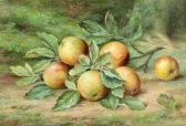 BUNKER Joseph 1800-1800,Still life of apples,Ewbank Auctions GB 2018-09-12