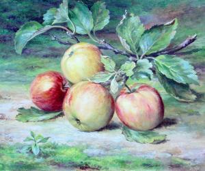 BUNKER Joseph 1800-1800,still life of Cox\’s apples on an orchard floor,Ewbank Auctions 2018-11-29
