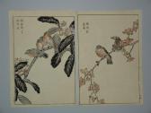 BUNREI,Oiseaux du Japon,1893,Neret-Minet FR 2011-01-24