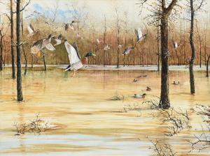 BURLESON TERRY,Mallard Ducks in Flight,Simpson Galleries US 2018-02-11