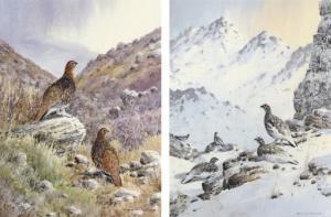 BURNS Colin W 1944,Ptarmigan; and Red Grouse,Christie's GB 2008-04-16