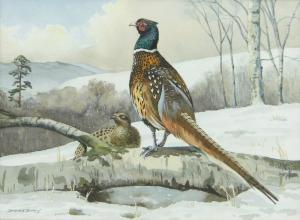 BURNS Dudley,pheasant in snowy landscape,Burstow and Hewett GB 2013-09-25