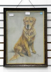 Burns Meg 1900-1900,Portrait of golden retriever,The Cotswold Auction Company GB 2018-01-23