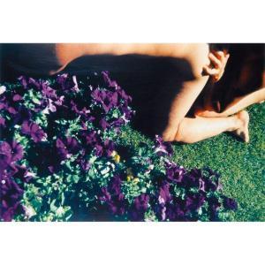 BURTON Jeff 1963,UNTITLED # 95 (PETUNIAS),1998,Sotheby's GB 2010-11-19