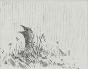 BUSBY John P 1928,A PAIR OF ORNITHOLOGICAL SUBJECTS,1990,McTear's GB 2018-04-25