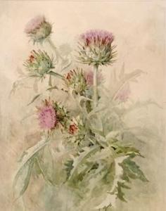 BUSHBY Thomas 1861-1918,A study of thistles,Fieldings Auctioneers Limited GB 2016-11-12