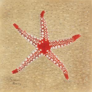 BUSSY Simon Albert 1869-1954,Starfish,Bonhams GB 2024-04-18