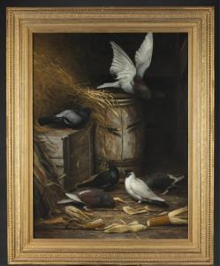 BUTLER CLARENCE LA VERNE 1850-1925,Pigeons in barn with corn,Quinn & Farmer US 2019-01-26