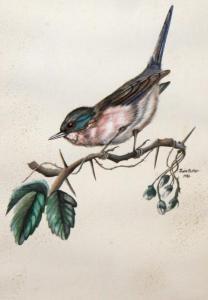 BUTLER June,Small Bird Perched on a Thorny Branch,1985,Mealy's IE 2016-03-22