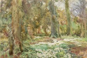 BUTLER Mildred Anne 1858-1941,The Woods in Springtime,1929,Adams IE 2024-03-27
