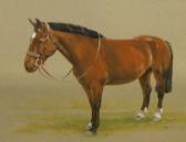 BUTTERWORTH Ninetta 1922,Horse Study,Keys GB 2010-04-09