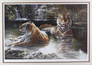 BUXTON HIDE Dorothea,Two tigers bathing,Fellows & Sons GB 2016-10-24