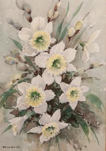 BUXTON MACCLESFIEL EDITH,Bunch of daffodils,Capes Dunn GB 2020-01-28