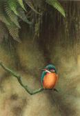 BUXTON Roger 1900-1900,Kingfisher,Christie's GB 1999-11-18