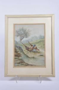 BUXTON S 1800-1900,Pheasant and Hen,1907,Wright Marshall GB 2018-08-11