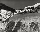 BYERS Robert K 1918,Bare Aspens near Silverton, Colorado,1983,Bloomsbury New York US 2010-09-29