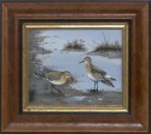 CAHOON Ralph Eugene 1910-1982,Two shorebirds,Eldred's US 2018-08-03