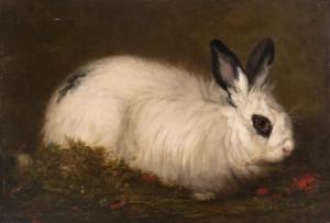 CALARD E 1800-1800,Portrait of a Black and White Rabbit,Mossgreen AU 2015-10-25