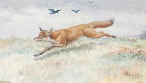 CALDWELL Edmund 1852-1930,A running fox,Bonhams GB 2009-04-28