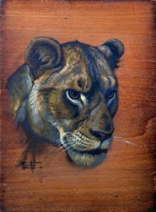 CALDWELL Edmund 1852-1930,Study of a lion's head,Canterbury Auction GB 2007-12-04