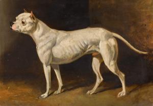 CALVERT Henry 1798-1869,A Staffordshire Bull Terrier, called Rattler,Sotheby's GB 2023-04-05