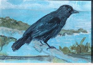 CAMERON Zoe 1959,Crow, Bird Sanctuary Mousehole,1998,David Lay GB 2019-07-25