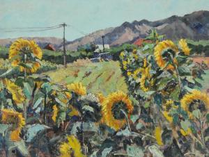 CAMPBELL GWYNNE Marjorie 1886-1958,Sunflowers,Elder Fine Art AU 2022-10-16