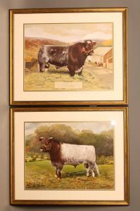 CAMPBELL Reginald Earl,Prized Shorthorn Bulls,1948-9,Hartleys Auctioneers and Valuers 2019-03-20
