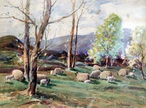 CAMPBELL Tom 1865-1943,Sheep grazing,Bonhams GB 2005-07-21