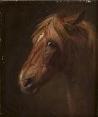 CAMPHAUSEN Wilhelm 1818-1885,Detailstudie eines Pferdekopfes,Hargesheimer Kunstauktionen 2018-03-17